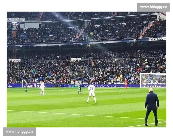 新手快速入门足球比赛观赛技巧与实用指南 - 副本 (2) - 副本