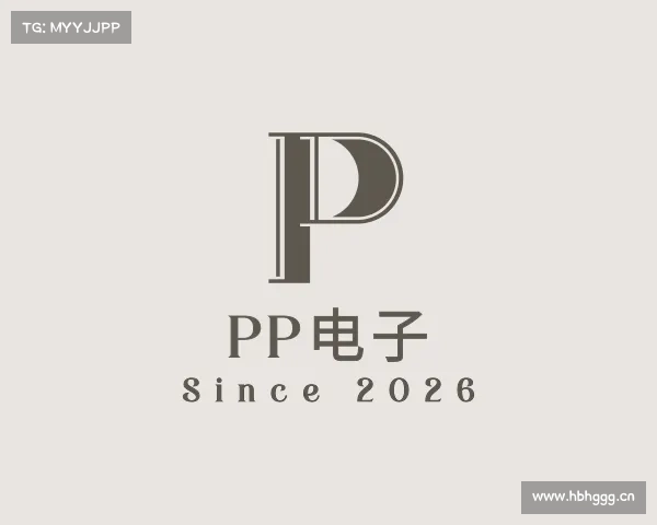介绍pp电子
